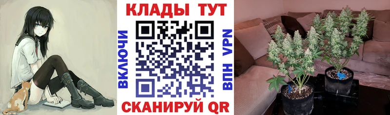 Продажа наркотиков Вязники Марихуана Alpha PVP ГАШИШ АМФ COCAIN