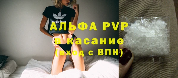 прущие грибы Балахна
