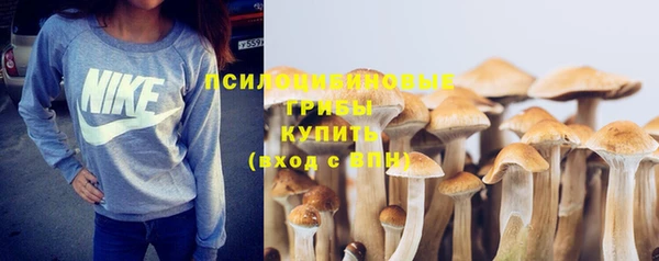 apvp Балабаново