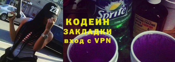 прущие грибы Балахна