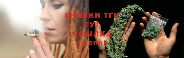 прущие грибы Балахна