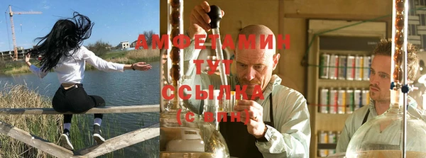 прущие грибы Балахна