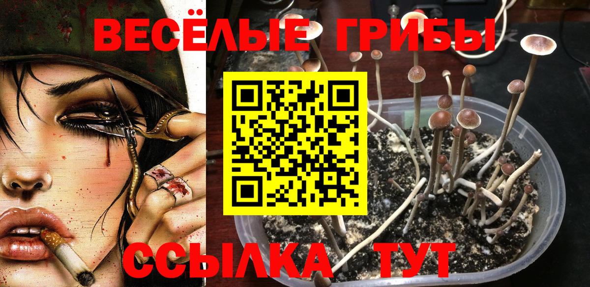 Вязники  MDMA  Конопля  Вход с VPN  ГАШ  КОКАИН  Alpha PVP СК   МЕФ  