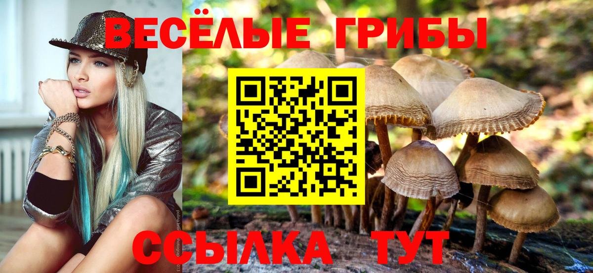 Галлюциногенные грибы Psilocybine cubensis  Вязники 