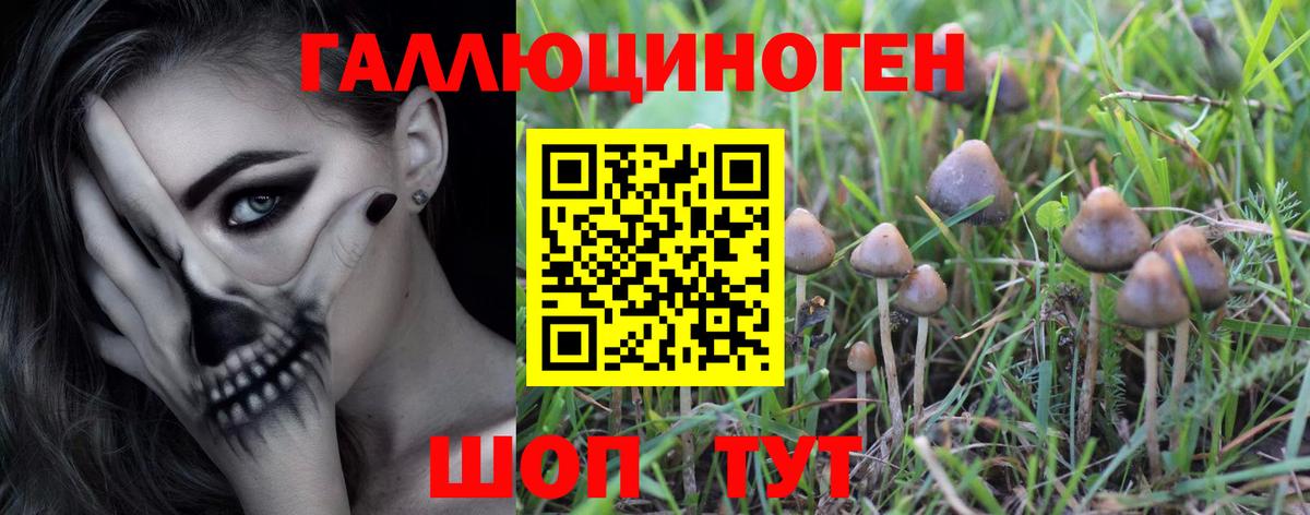 Галлюциногенные грибы Psilocybe  Вход с VPN  Вязники 