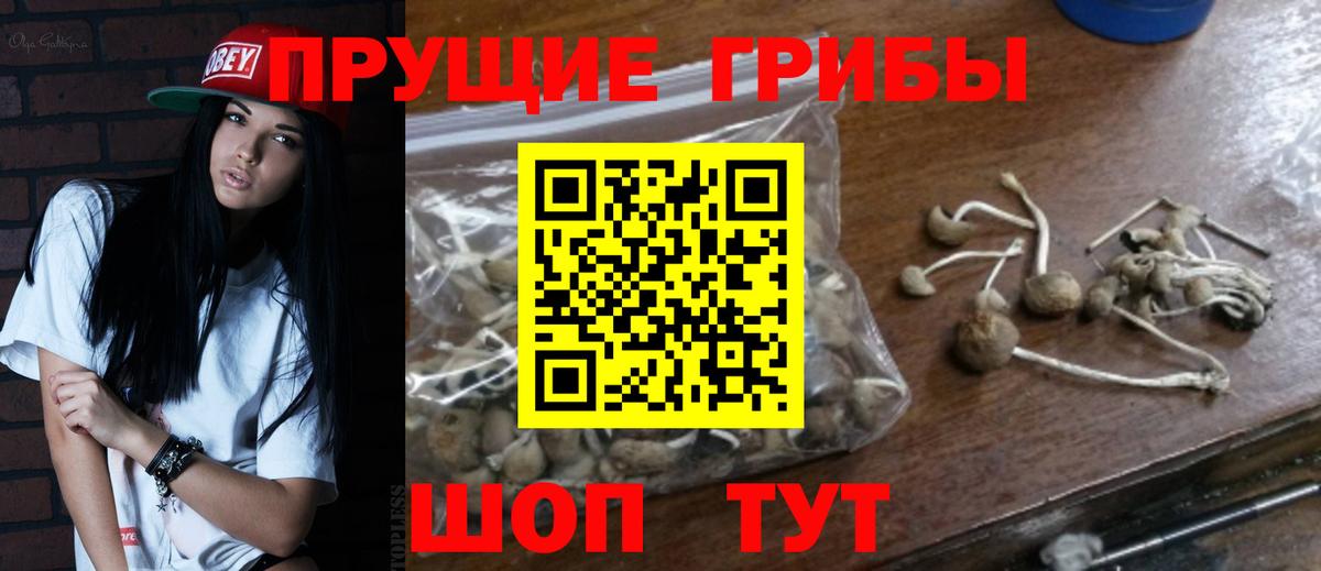 Псилоцибиновые грибы Magic Shrooms Вязники