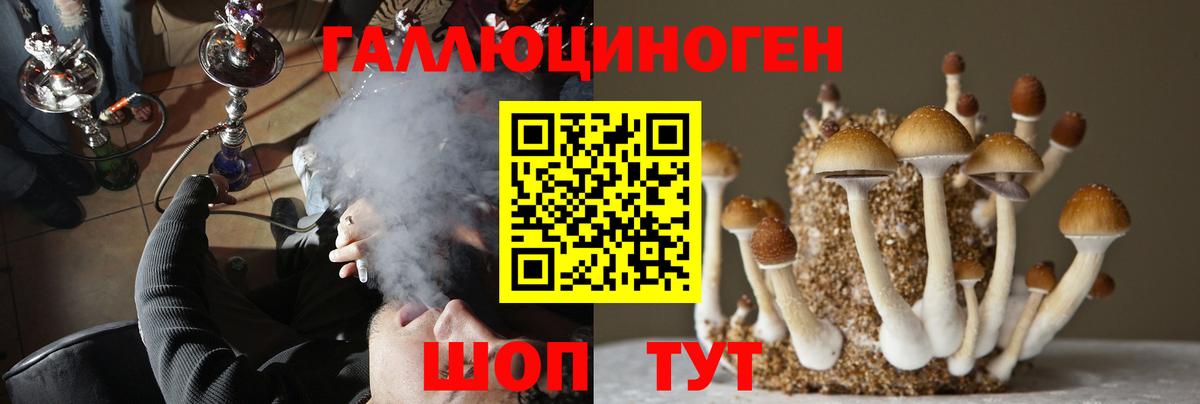 Псилоцибиновые грибы мицелий Вязники